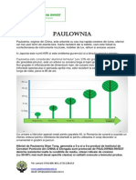 Brosura Paulownia Invest