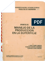 Manejo de La Produccion-UNAM