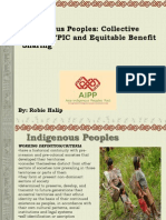 Indigenous Peoples: Collective Rights, FPIC and Equitable Benefit Sharing. Presented by Robeliza Halip of The Asia Indigenous Peoples Pact.