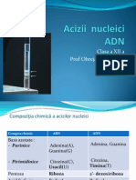 Acizii Nucleici, ADN.