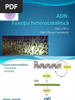 Functia Heterocatalitica