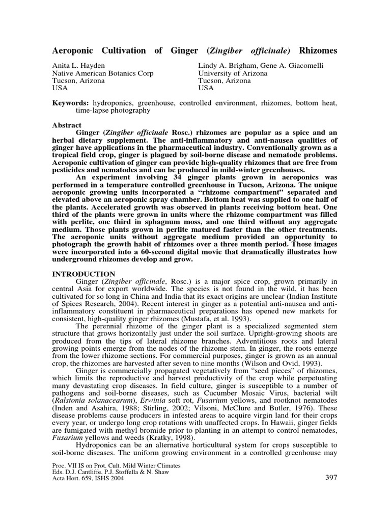 Aeroponic Cultivation of Ginger | PDF | Hydroponics | Plants