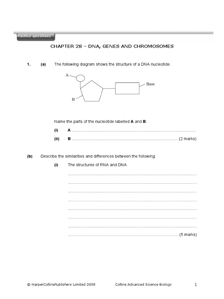 Chapter 28 - Dna, Genes and Chromosomes: Practice Questions | PDF