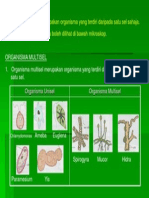 Types of Organisms