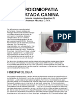 Cardiomiopatia Dilatada Canina (1)