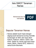 Analisis SWOT Tanaman Nanas
