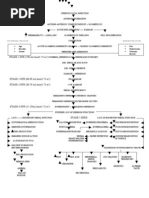 CKD Pathophysiology