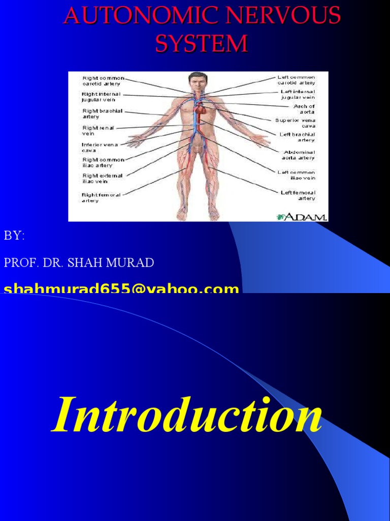 autonomic-nervous-system-ppt-1-acetylcholine-nervous-system