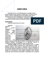 Urechea