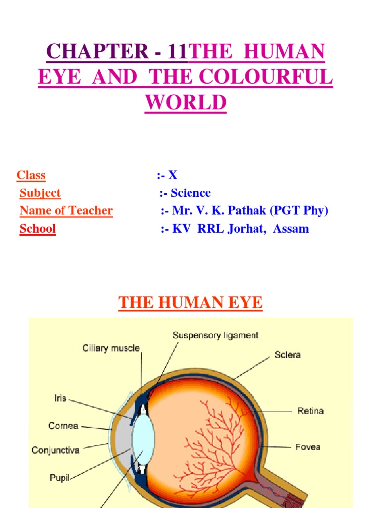 case study questions on human eye and colourful world