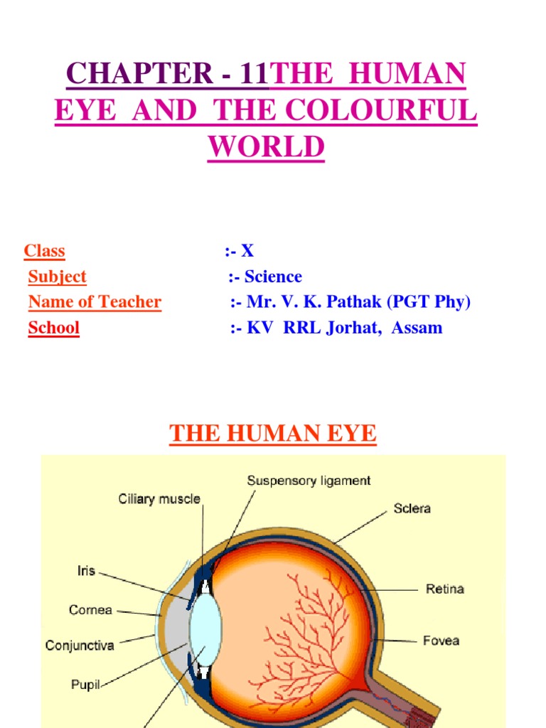 case study based questions on human eye and colourful world