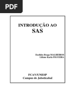 Apostila INTRODUÇÃO AO SAS.pdf
