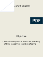 Punnet Squares