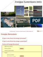 Enre1 - Mes - Biomassa 2013