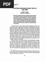 Download Natural Resource Based View by chau_969663535 SN178534794 doc pdf