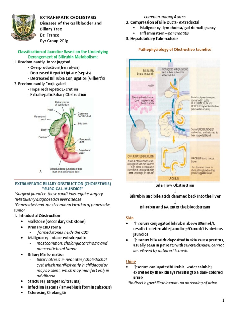 Extrahepatic Cholestasis Gallbladder Exocrine System