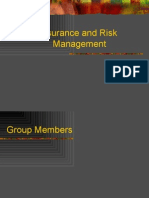 Final Risk Management Slides