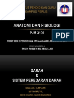 Darah Dan Sistem Peredaran Darah (PPT.97-2003)