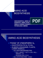 Amino Acid Biosynthesis Pathways