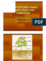 Struktur & Fungsi Organ Vegetatif Tumbuhan PDF