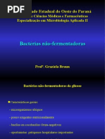 2009 Nao Fermentadores