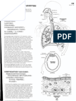 Respieratory Overview PDF