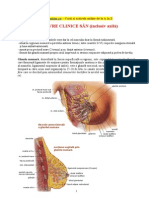 Manevre clinice san.pdf