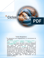 Ciclos Bioquímicos.