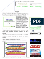 Fazer Ou Construir Caiaque de Garrafas Pet - Kaypet, Projeto Grátis, Faça Você Mesmo