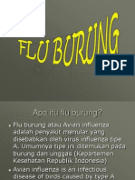 Apa Itu Flu Burung