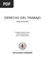 Practica Derecho[1][1]