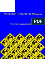 5.sindromul Pleural