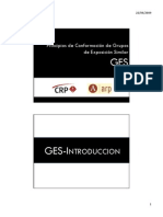 Conformacion de Grupos de Exposicion Similar GES II
