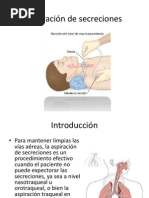 Escala de Bromage | PDF