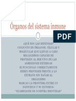 Órganos del sistema inmune.pptx