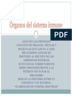 Órganos Del Sistema Inmune