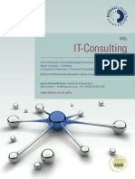 IT-Consulting - Management und IT