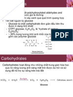 Carbohydrate Fischer Projection VN