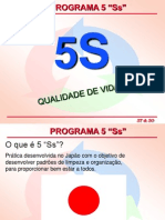 Programa 5s