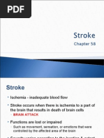 Download Cerebral Vascular Accident CVA by Barbara SN17870290 doc pdf