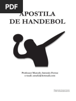 Apostila Hand 2012