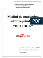 Mediul de Marketing