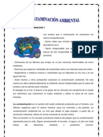 separata Contaminacion Ambiental