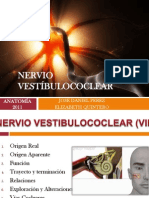 VIII Vestibulococlear