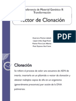 Vector de Clonacion