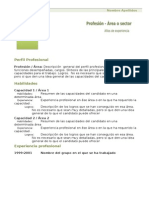 Curriculum Vitae Modelo1c Verde