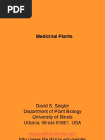 Medicinal Plants 13