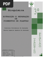 Pigmentos+de+Plantas+ +TLC