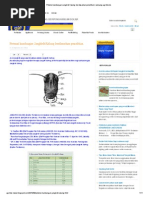 Download Potensi Kandungan Jangkrik Kalung Berdasarkan Penelitian by Ai Karningsih SN178828336 doc pdf