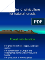 Principles of Silviculture For Natural Forests